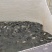 鲤鱼食用0.5公斤以下