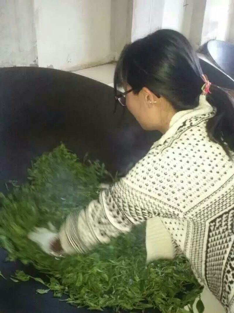 百年大树茶特级