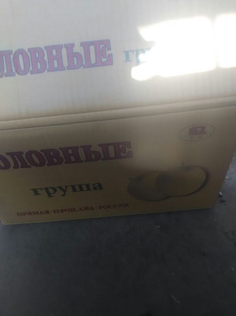 皇冠梨
