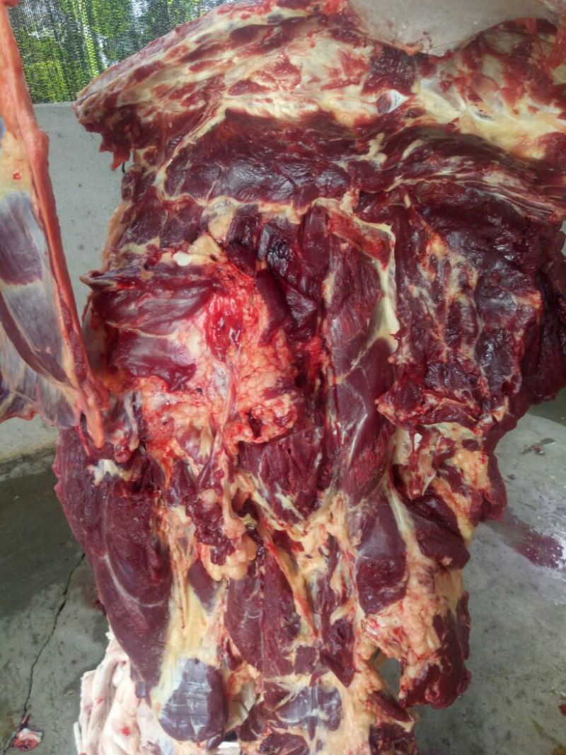 驴肉鲜货
