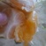 广西特早蜜橘5.0~8.0cm特早