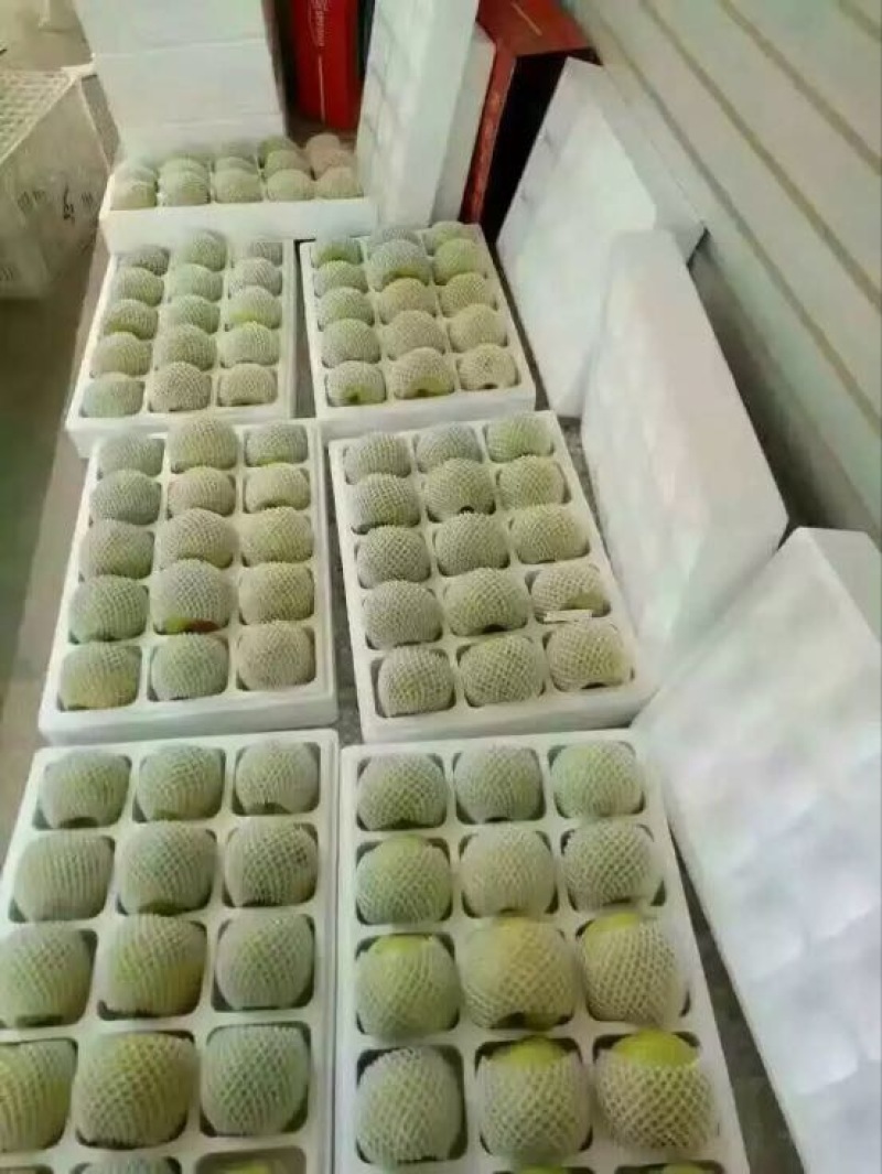 酥梨