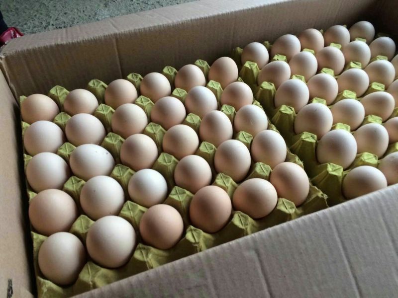粉蛋食用50g以下