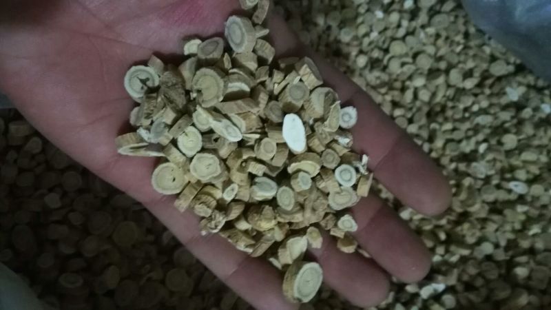黄芪0.5~1.5cm
