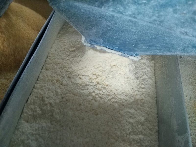 玉米面