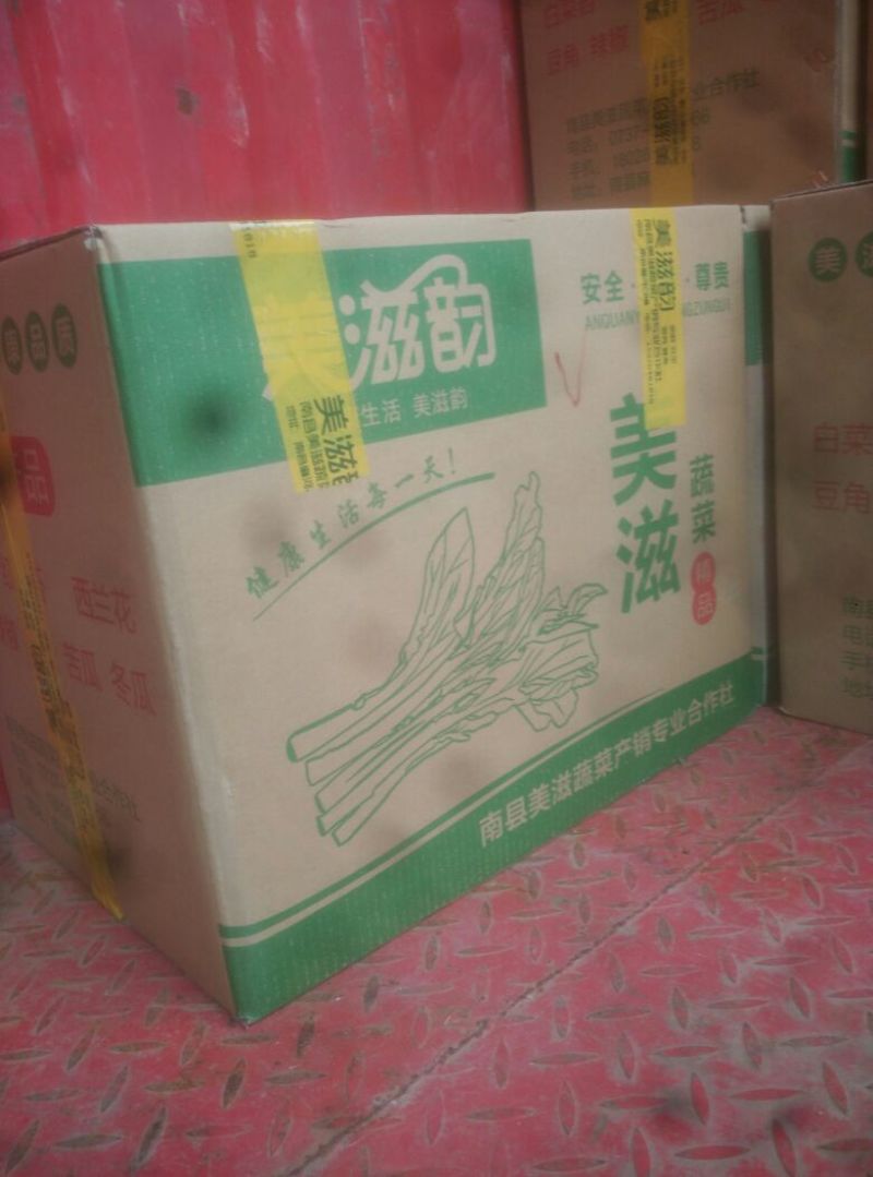 白菜苔20~30厘米