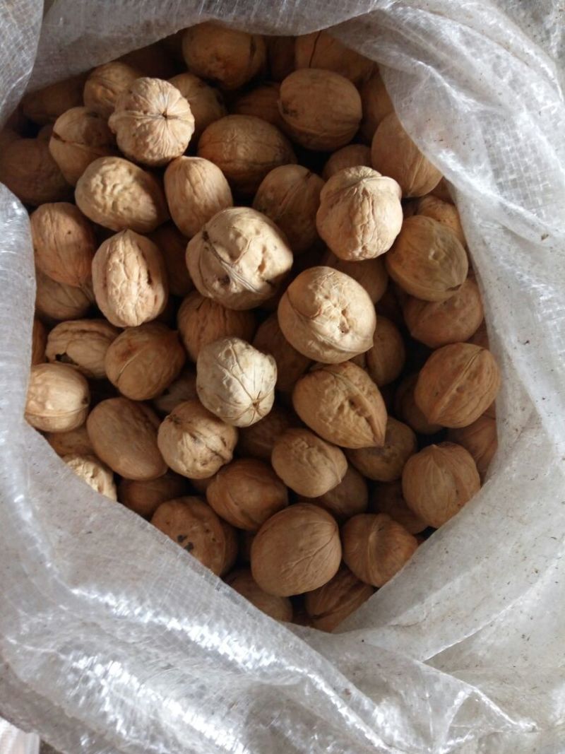 薄皮核桃30mm以上去皮干
