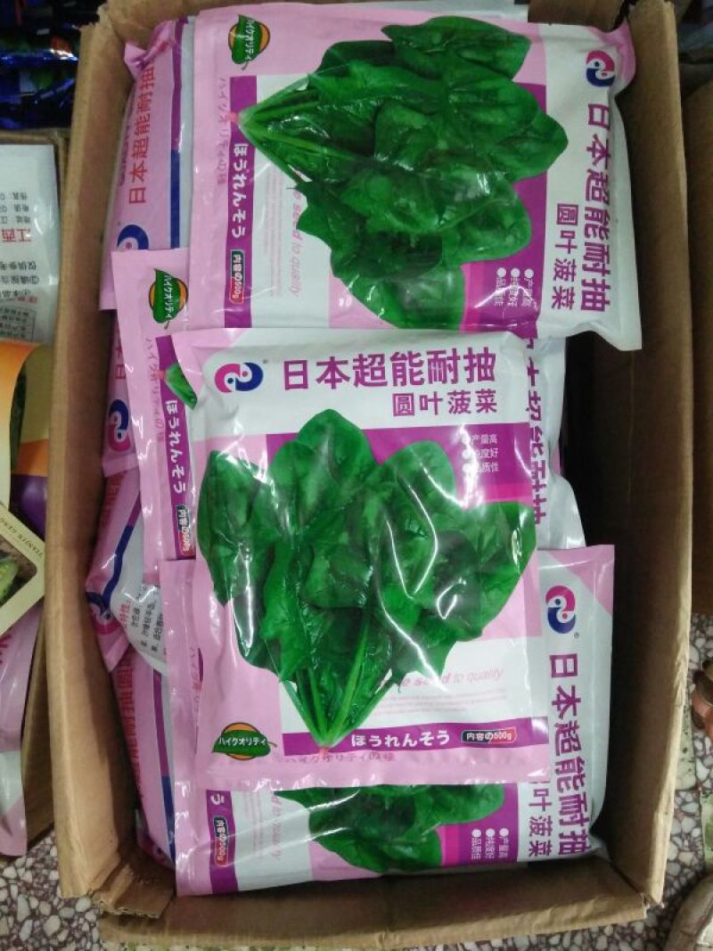 菠菜35~40厘米
