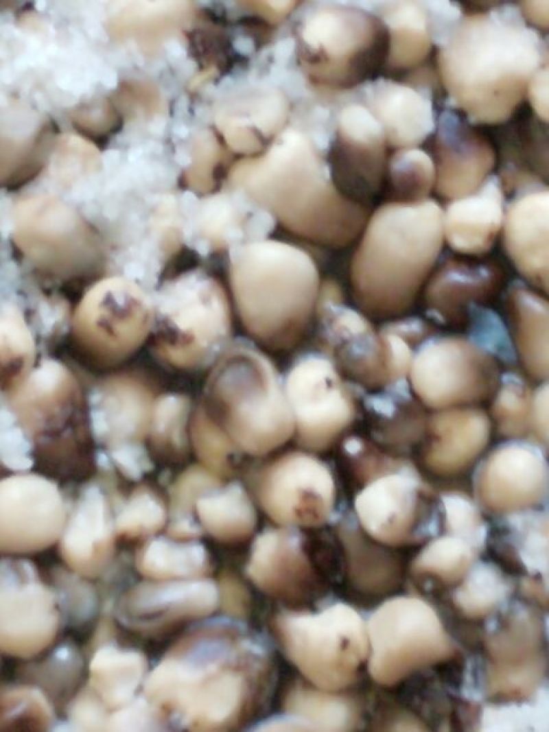 鲜草菇