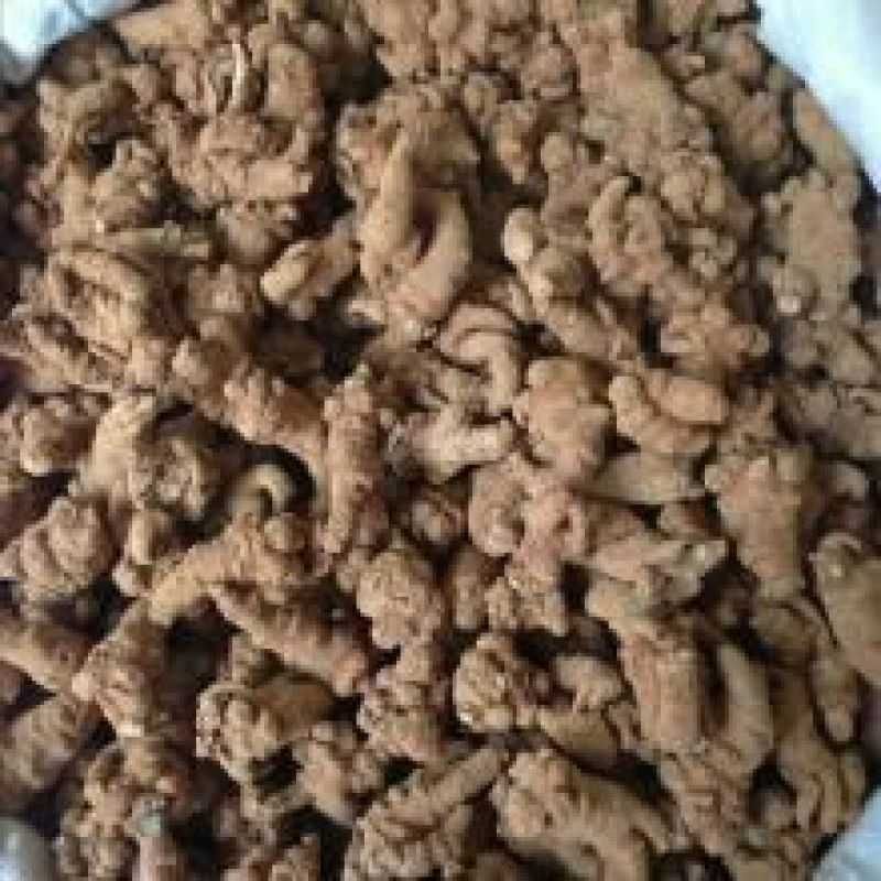 三七根茎20头选货