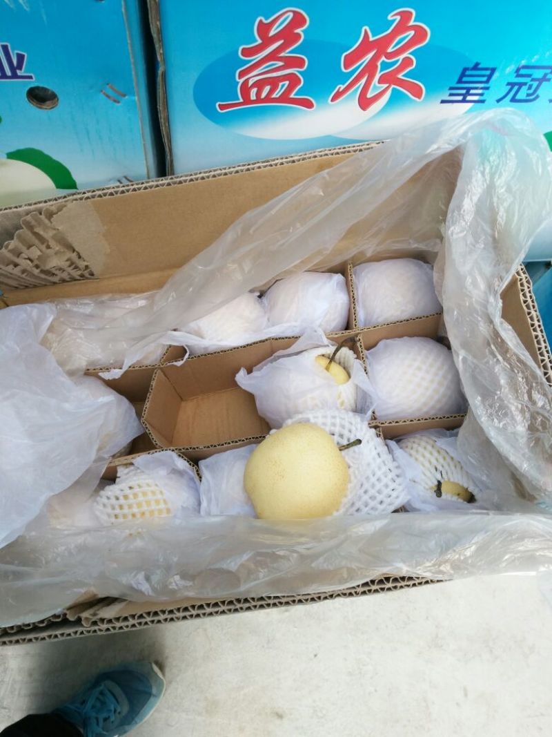 皇冠梨