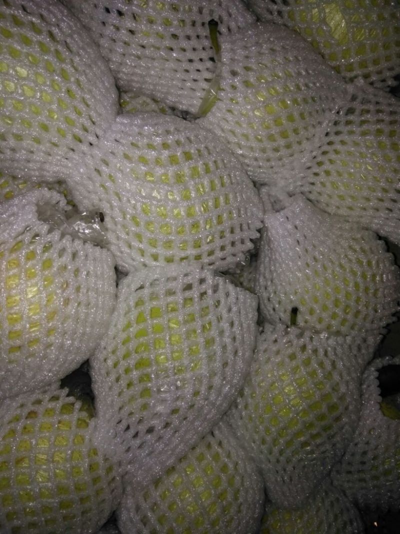 鸭梨200~250g纸加膜