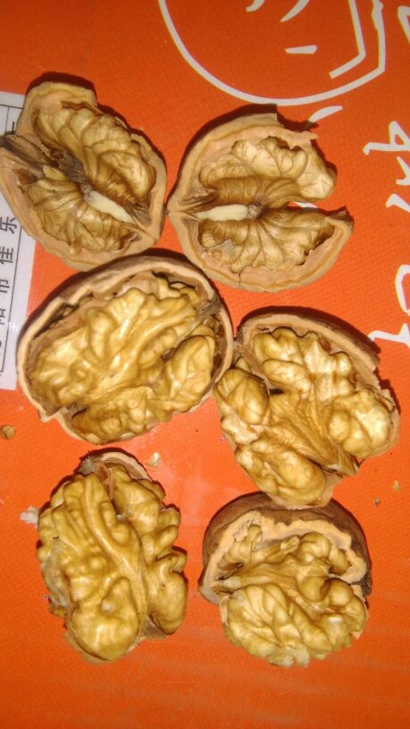 薄皮核桃去皮干
