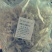 绿豆粉皮包装