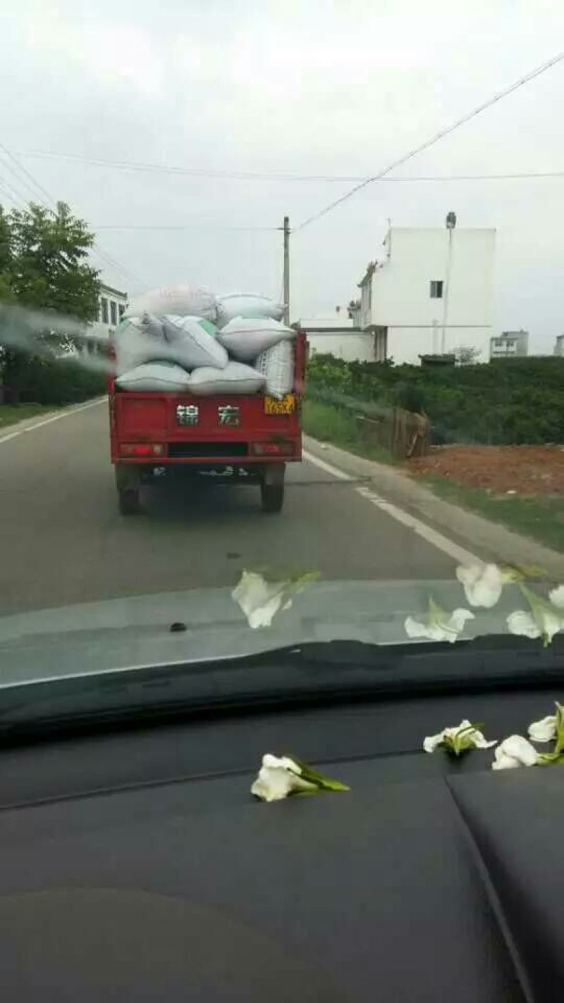 菜油一级
