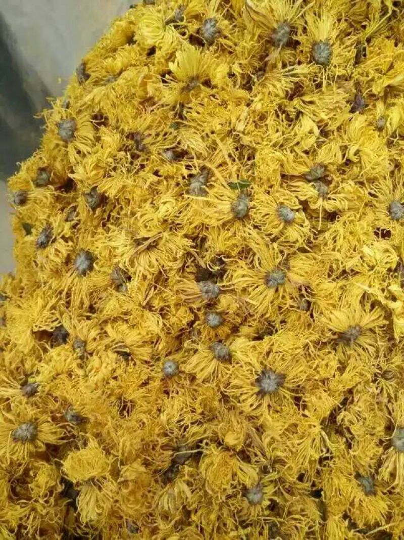 修水金丝皇菊散装花菊花茶