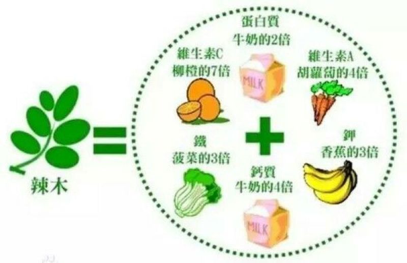 辣木籽