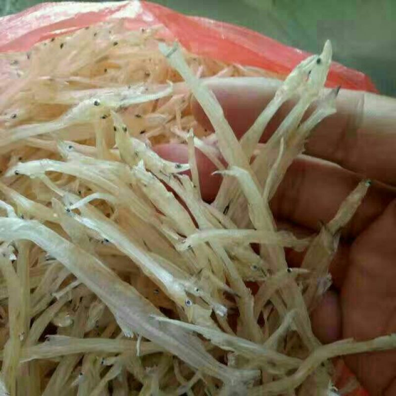 毛刀鱼食用冰鲜鱼