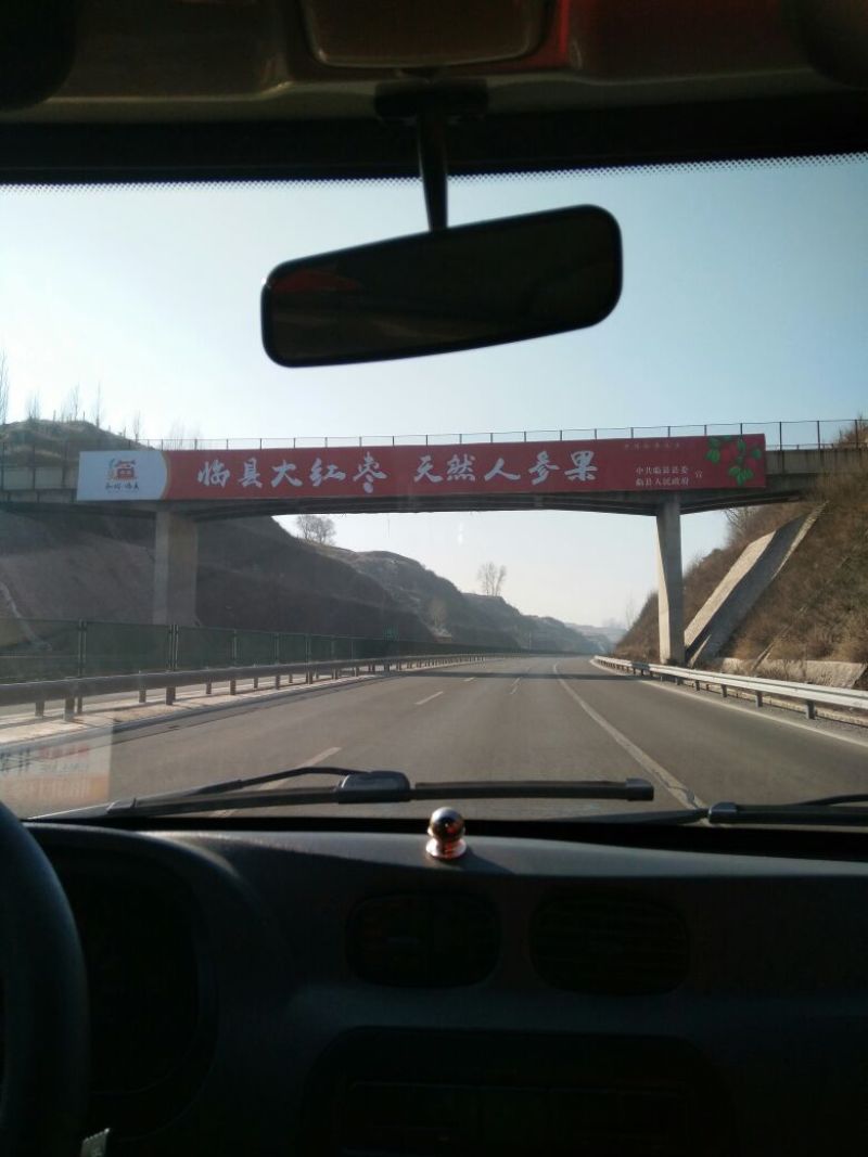 滩枣鲜枣通货