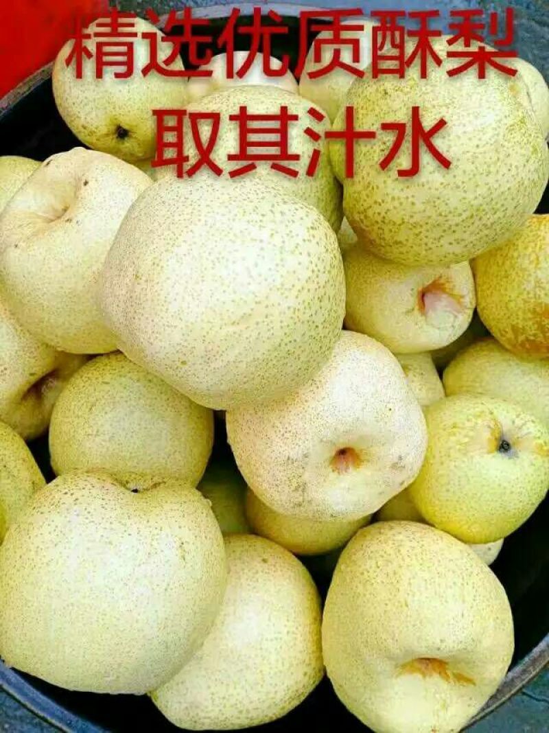 酥梨膏