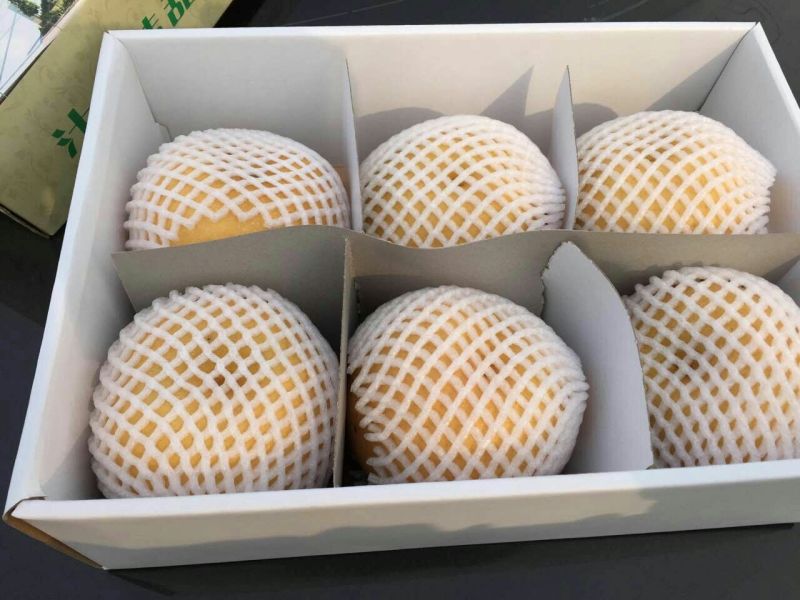 秋月梨500~550g纸袋