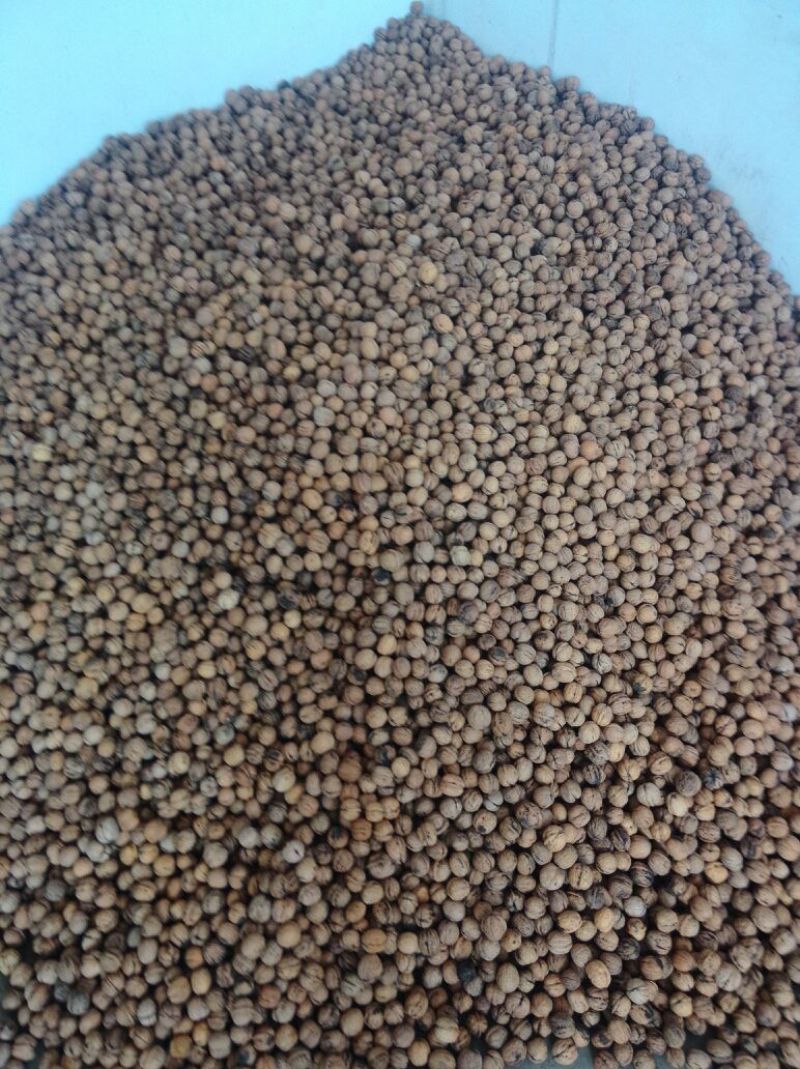 薄皮核桃30mm以上去皮