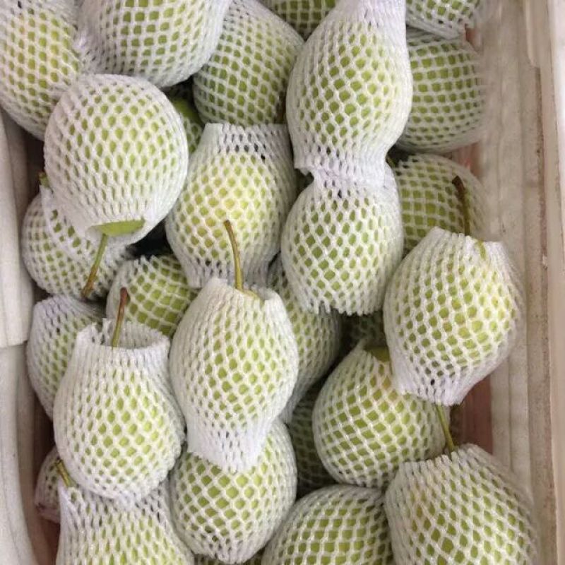 长把梨150~200g纸袋