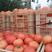 瑞星西红柿弧三以上硬粉，产地西红柿，专共电商，团购，