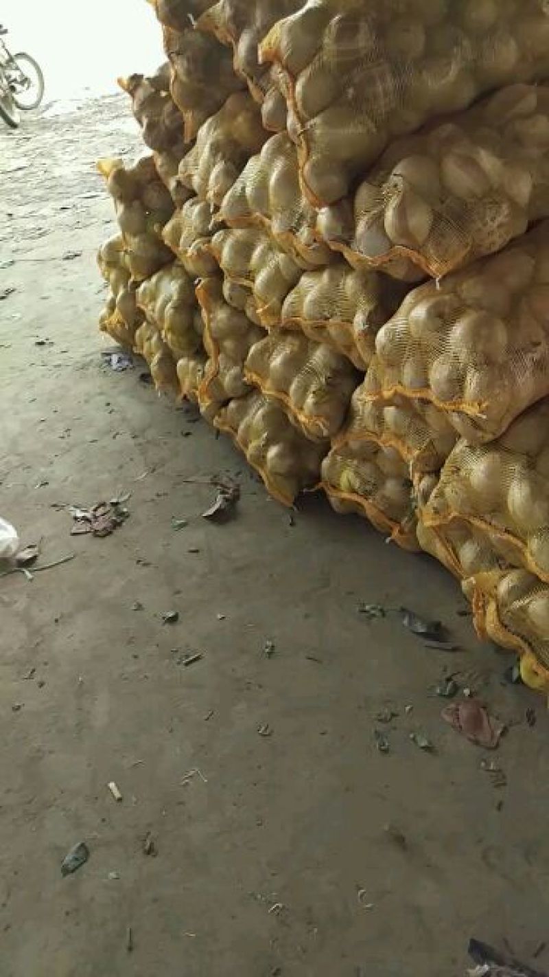 雪花梨罐头梨原装纸袋产地直发批发零售