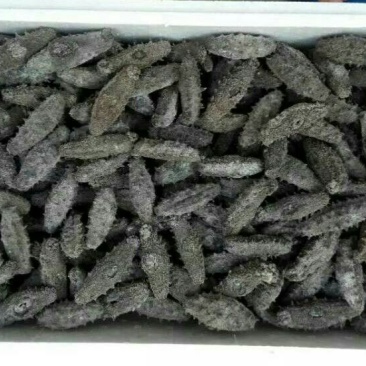 干海参食用淡干