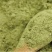 西芹