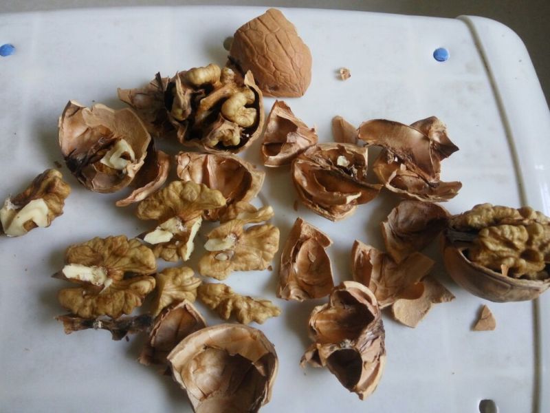 香玲核桃30mm以上去皮干
