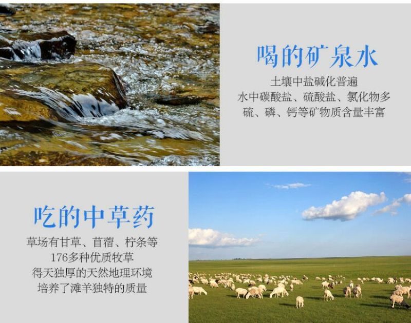 羊寸排是绵羊肉