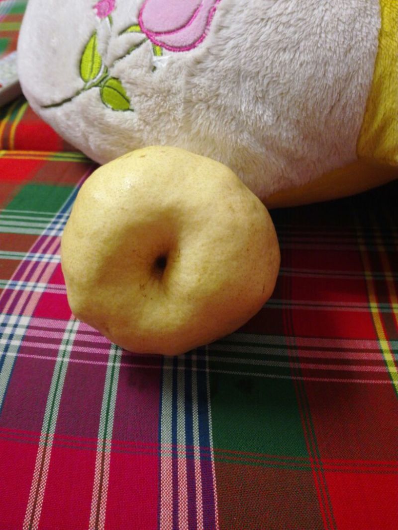 砀山梨200~250g纸袋