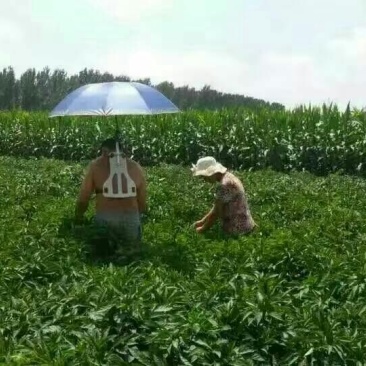 农机