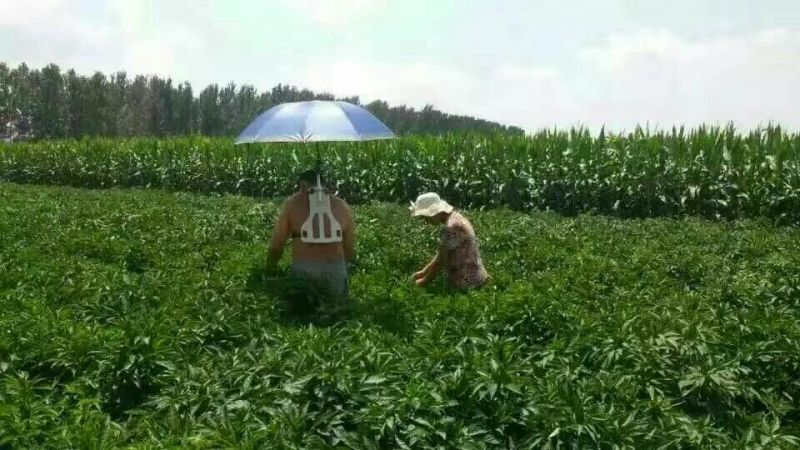 农机