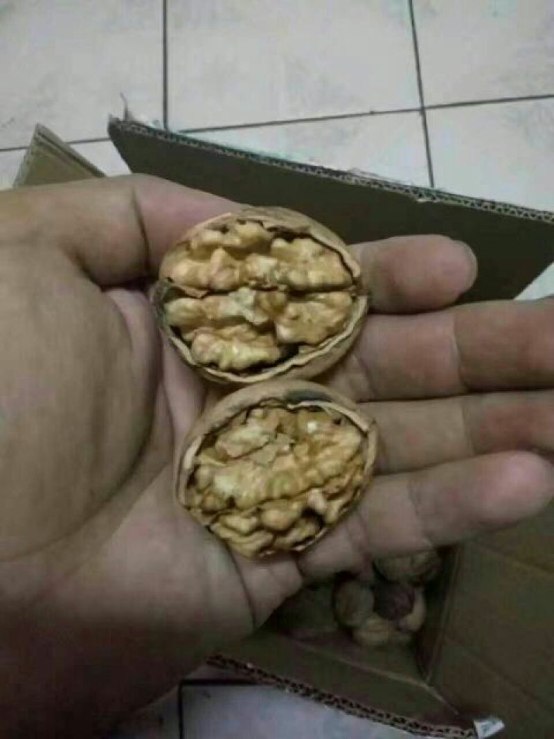 薄皮核桃30mm以上去皮干