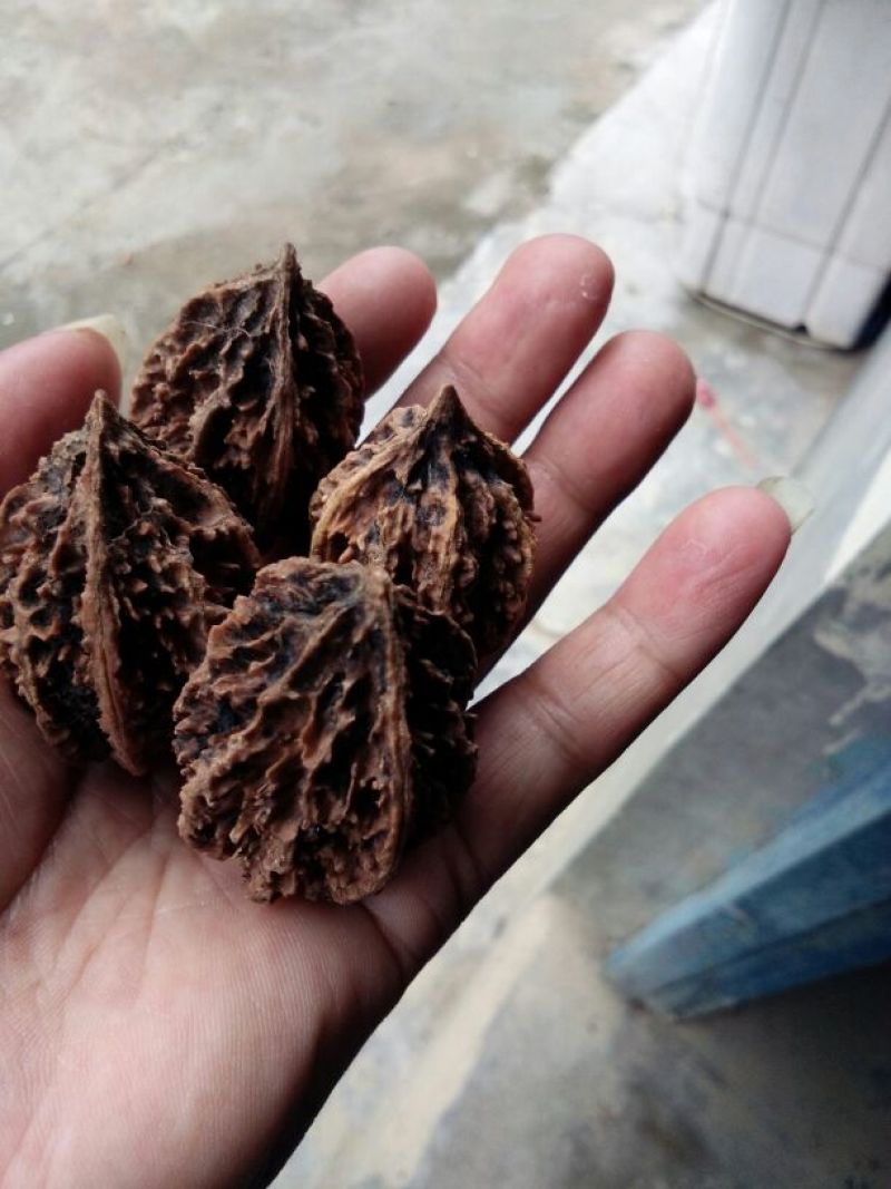 文玩核桃去皮后清洗纯干品