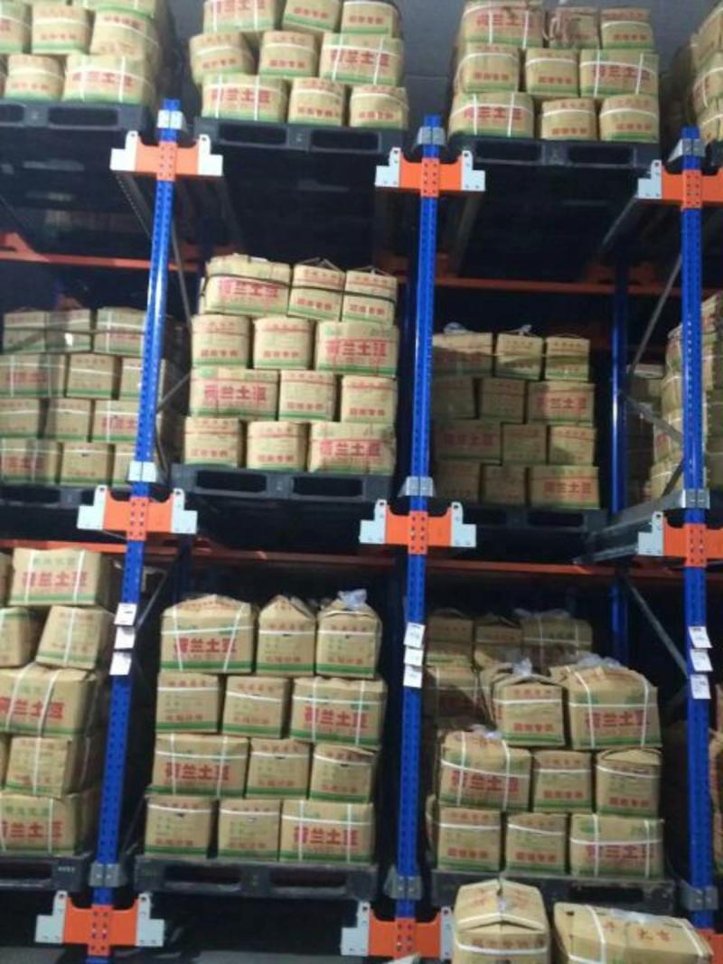甩卖山东荷兰十五土豆冷库三两以上对接电商商超市场