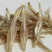 银鱼干