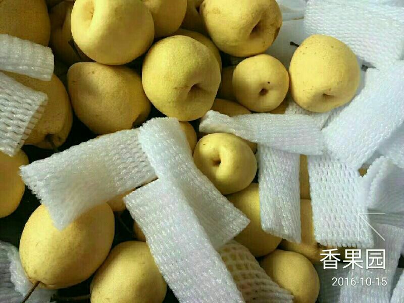 酥梨100~150g纸袋