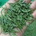 石阡苔茶特级