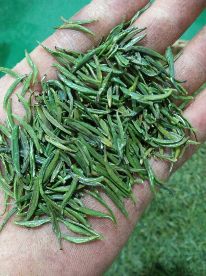石阡苔茶特级
