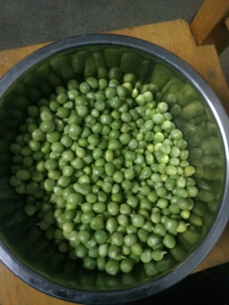 青豆中等