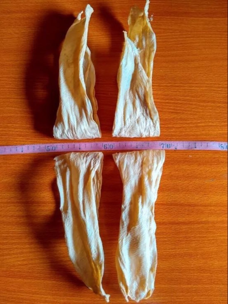 腐竹