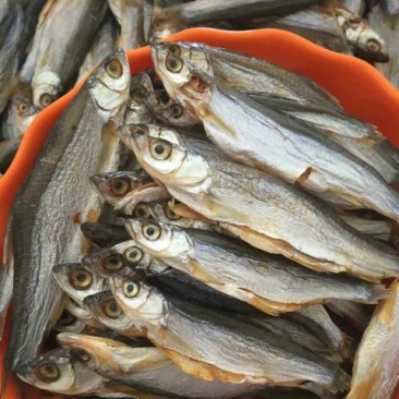 河汊小干鱼