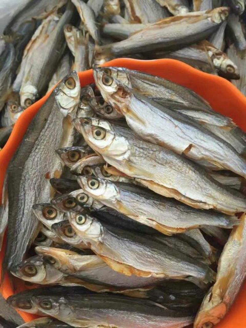 河汊小干鱼