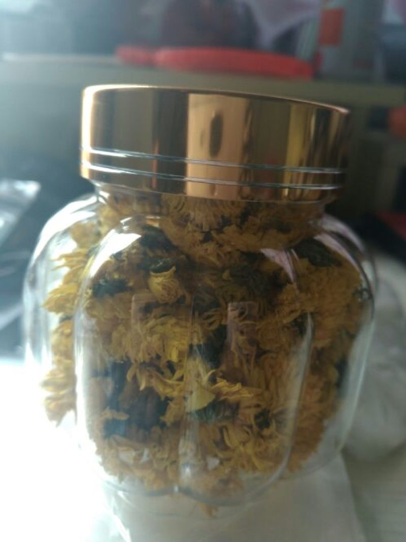 菊花茶开花
