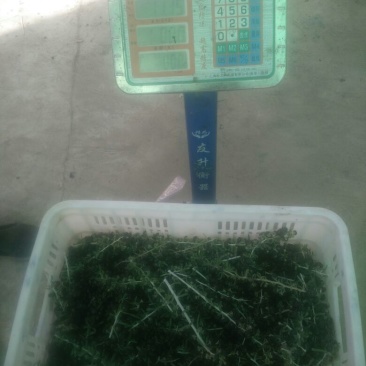 黑枸杞二茬干货