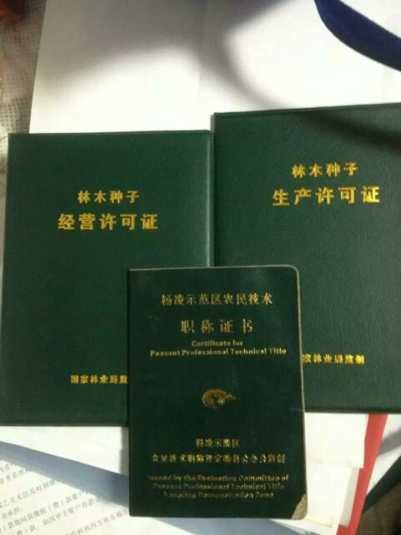 华硕苹果树2cm以下4cm以下0.5~1米